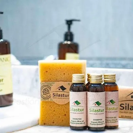 Begona By Silastur 公寓 希洪